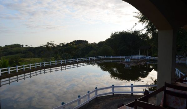 estutura-07